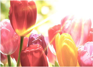 新利luck18(中国区)-官方网站