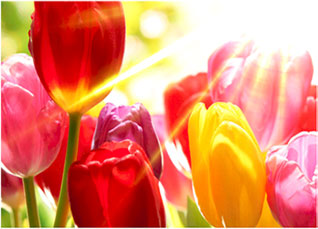 新利luck18(中国区)-官方网站