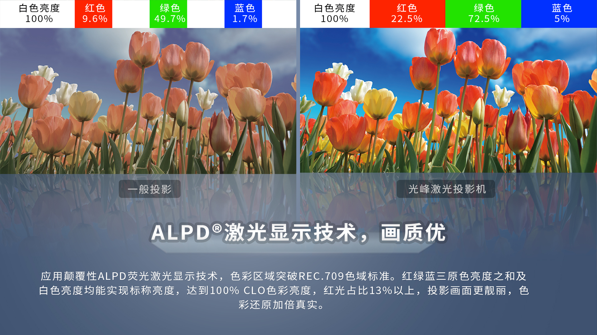 新利luck18(中国区)-官方网站