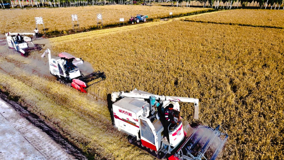 新利luck18(中国区)-官方网站